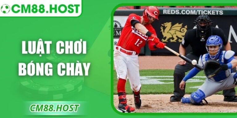 Luật Chơi Bóng Chày – Kiến Thức Giúp Soi Kèo Chuẩn
